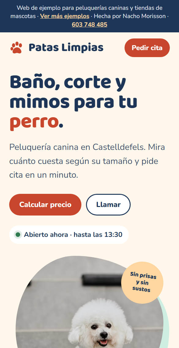 Web de ejemplo para una peluquería canina